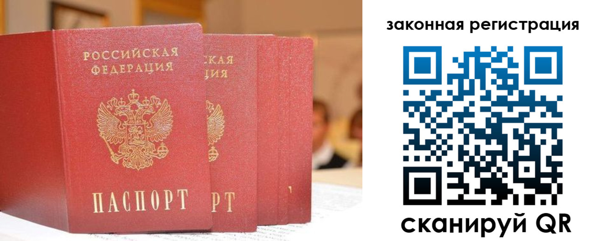 прописка поиск в Приозерске